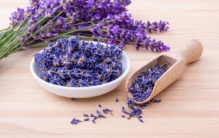 Lavender Herbs Flowers